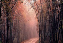 开云体育官方网站-关于中国乒乓球队绝杀法国乒乓球队，樊振东绝境逆转的信息