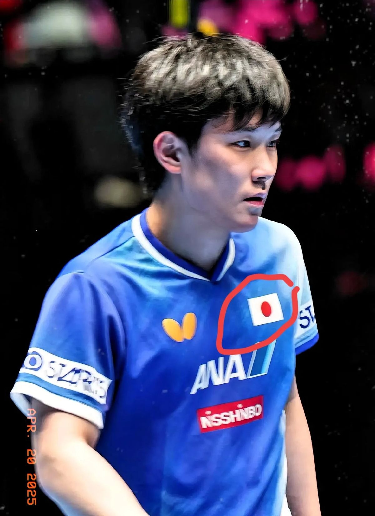 日本乒乓球队鏖战中国乒乓球队,张本智和爆发神勇的简单介绍 日本乒乓球队鏖战中国乒乓球队,张本智和爆发神勇的简单介绍