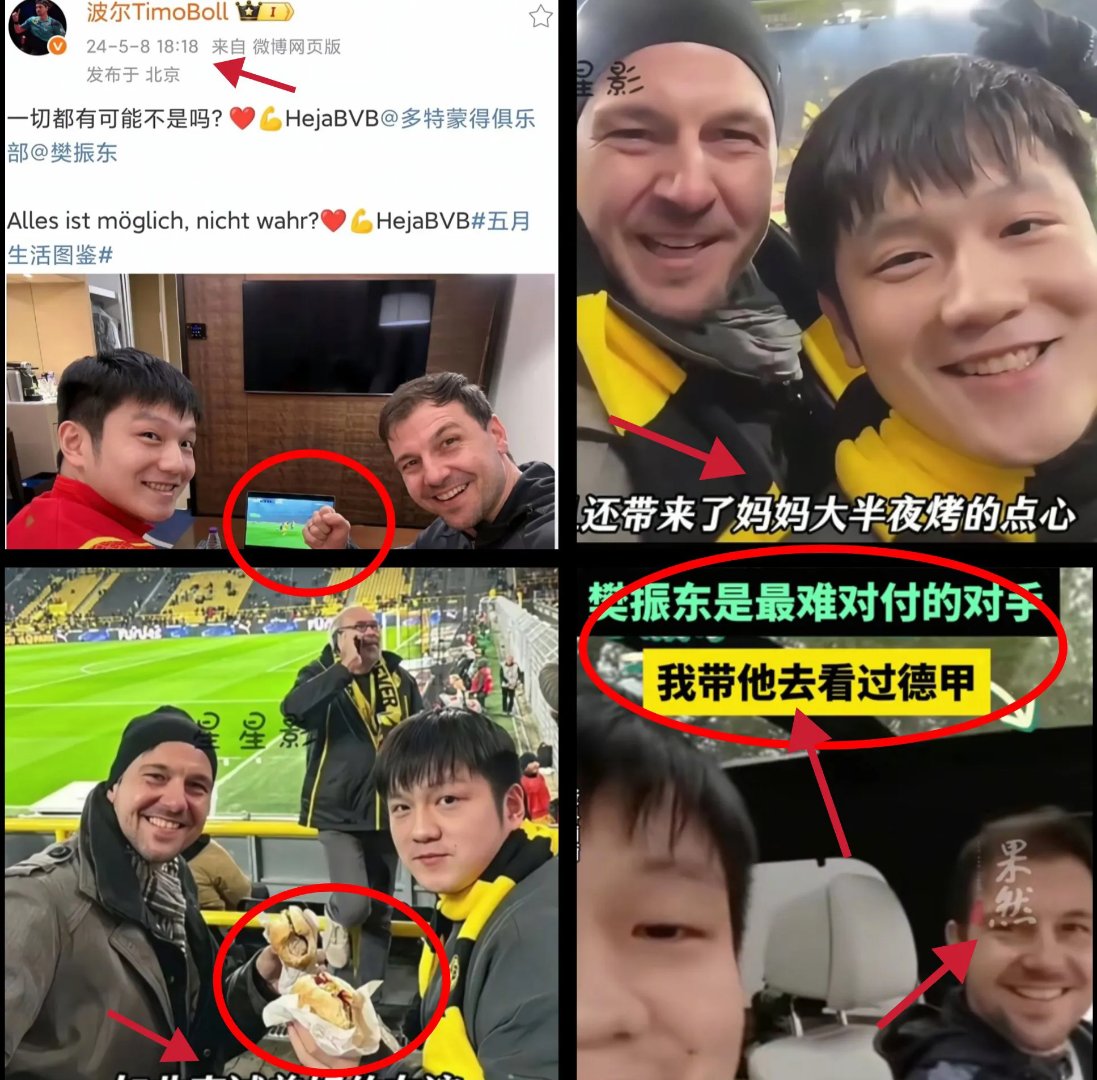 关于比利时乒乓球队碾压奥地利乒乓球队,波尔绝境逆转的信息 关于比利时乒乓球队碾压奥地利乒乓球队,波尔绝境逆转的信息
