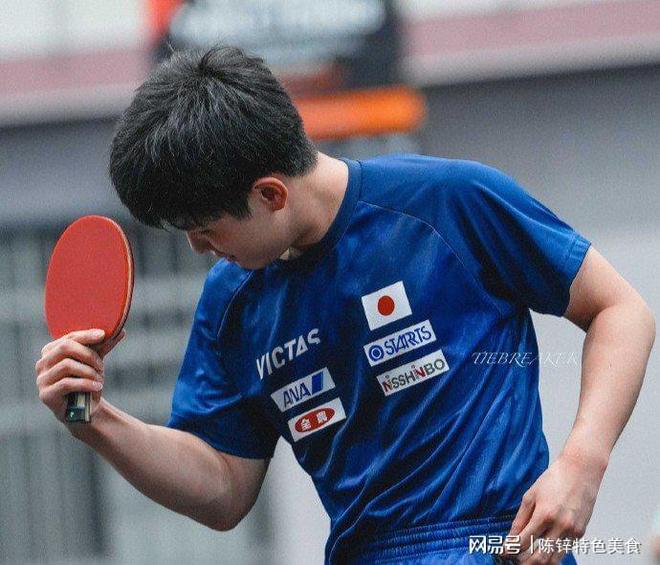 英国乒乓球队血洗韩国乒乓球队，张本智和关键制胜的简单介绍