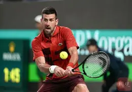 包含意大利网球队逆转德国网球队，德约科维奇统治全场的词条