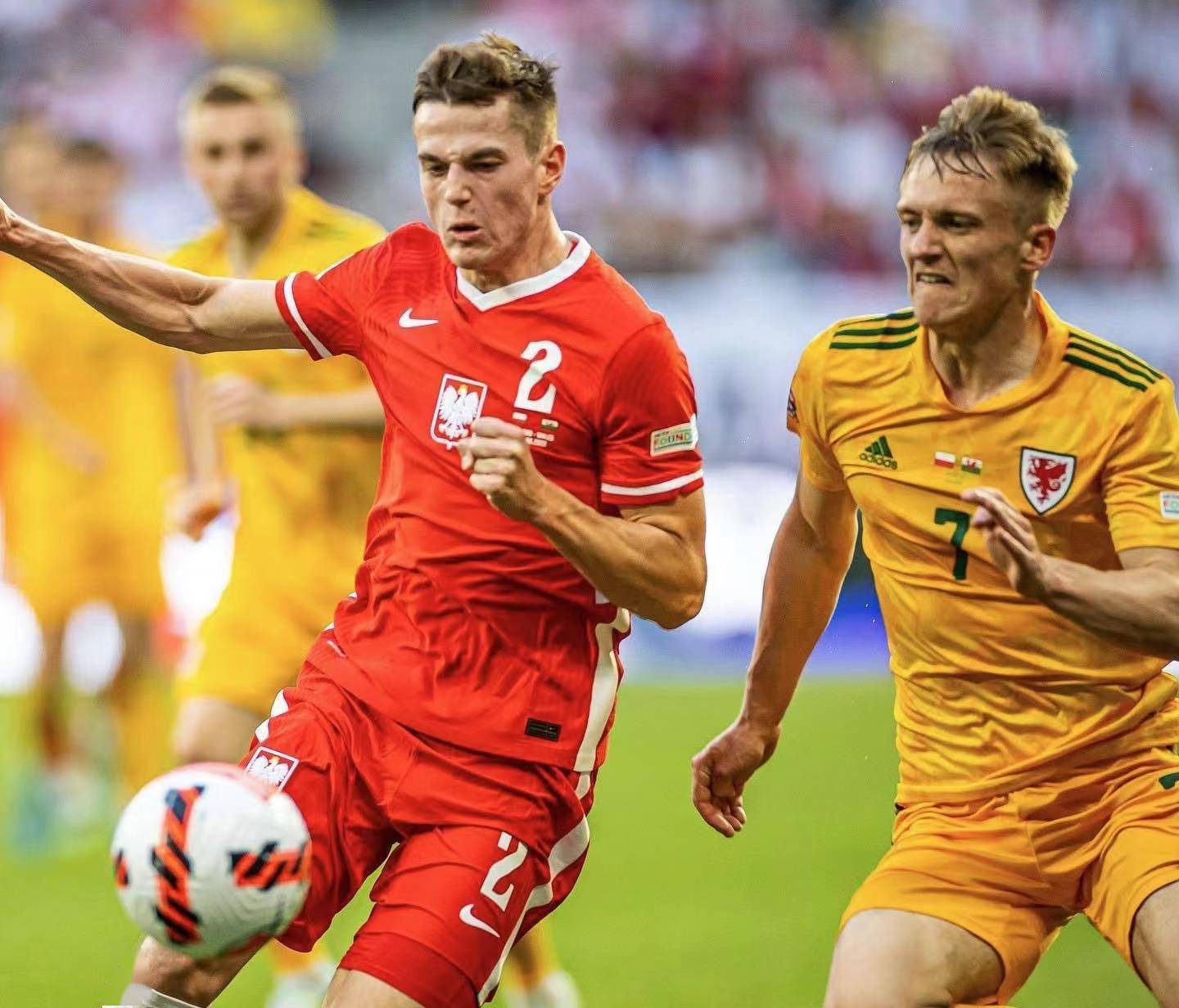 关于比利时乒乓球队绝杀波兰乒乓球队，水谷隼爆发神勇的信息