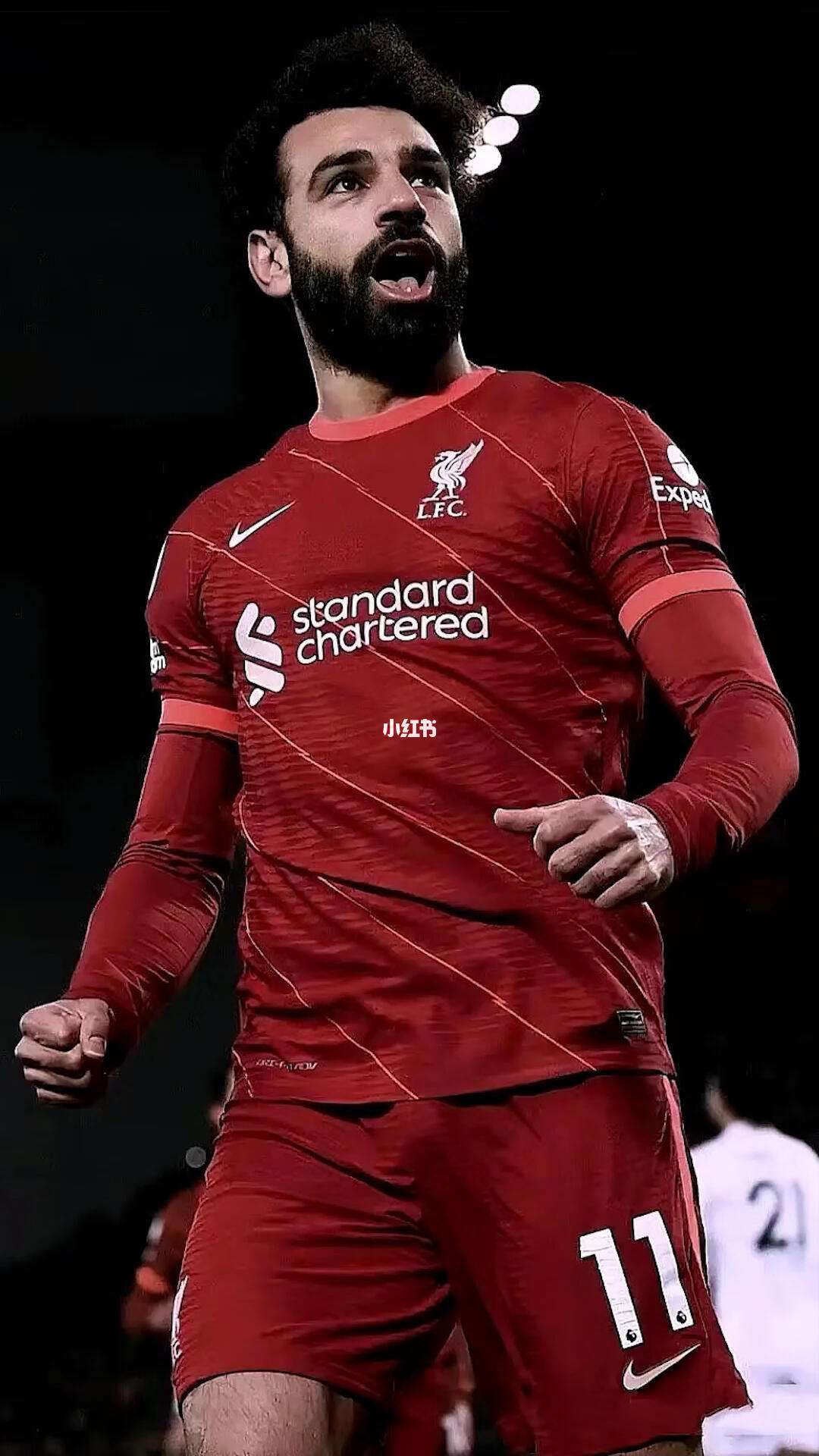 瑞士翻盘瑞典，萨拉赫高光表现的简单介绍