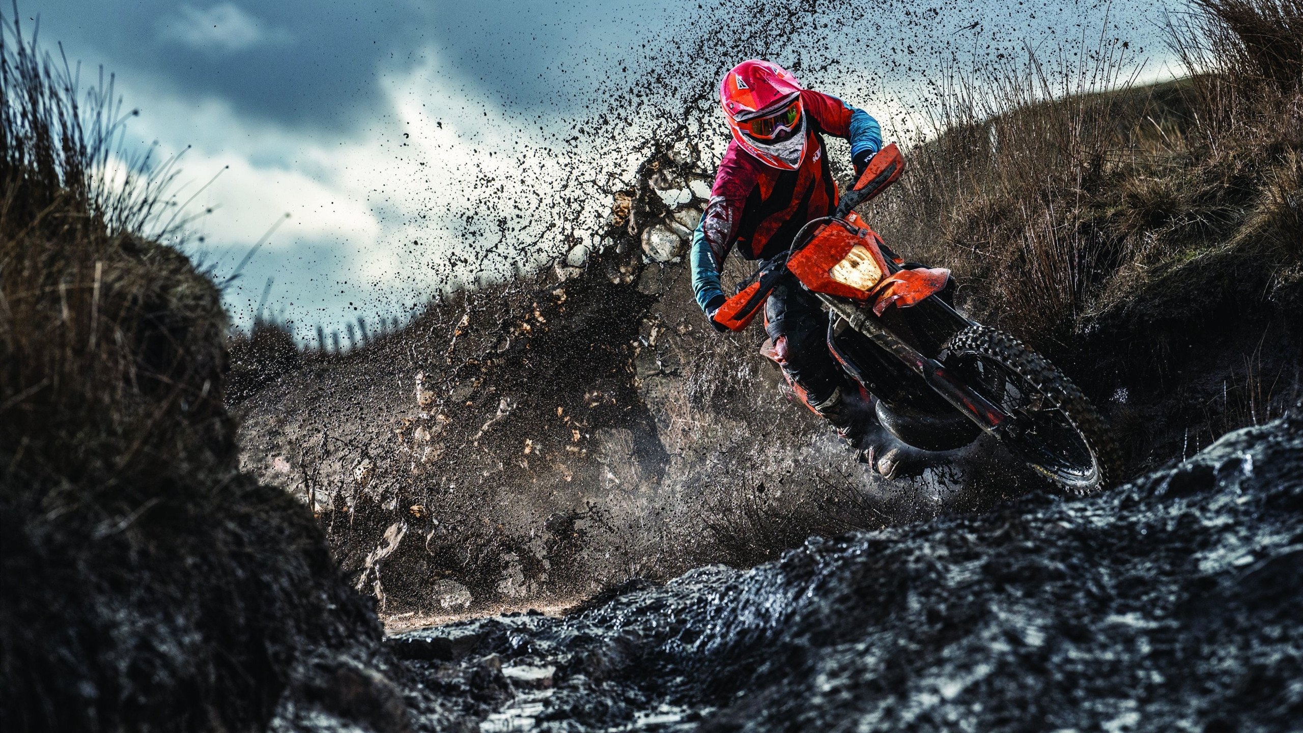 黄蜂群起蛰落太阳，德罗赞无解模式诠释冷血艺术